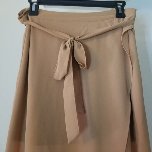 Forever 21 Sheer Maxi Skirt - Picture 2 of 4